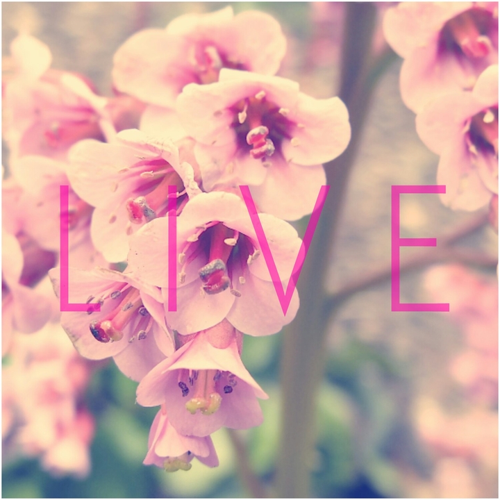 LIVE....