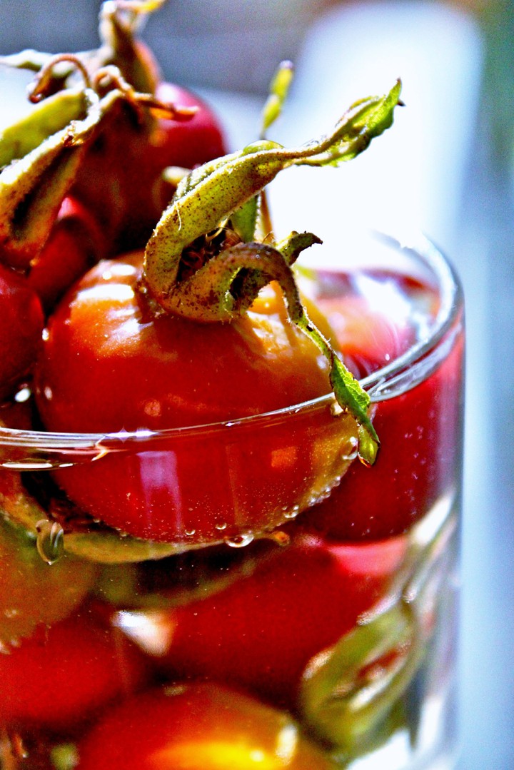 Water and Rosehips Hi