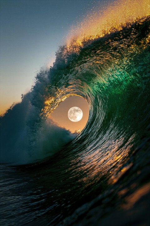 шпалери tsunami, Wave