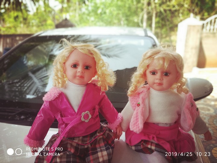 doll sisters