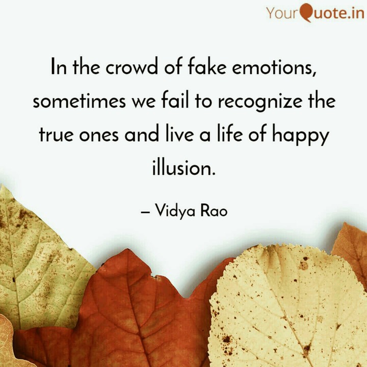 life of happy illusion