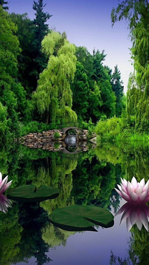tapety vegetation, green