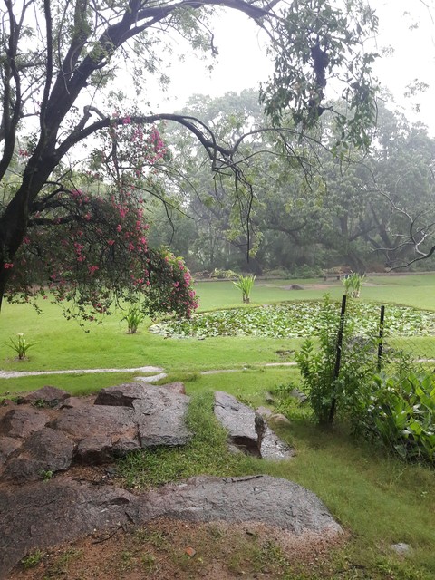 Nature