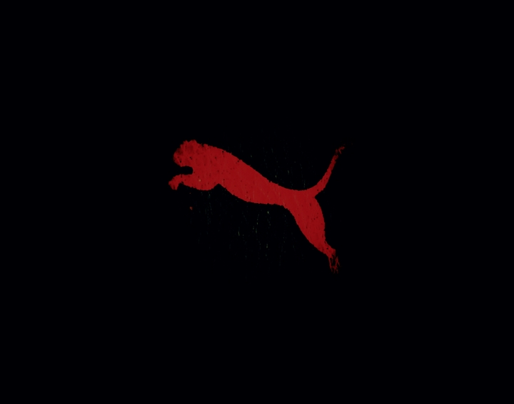 puma