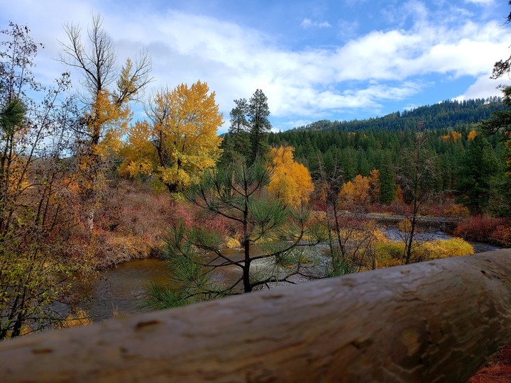 beauty fall