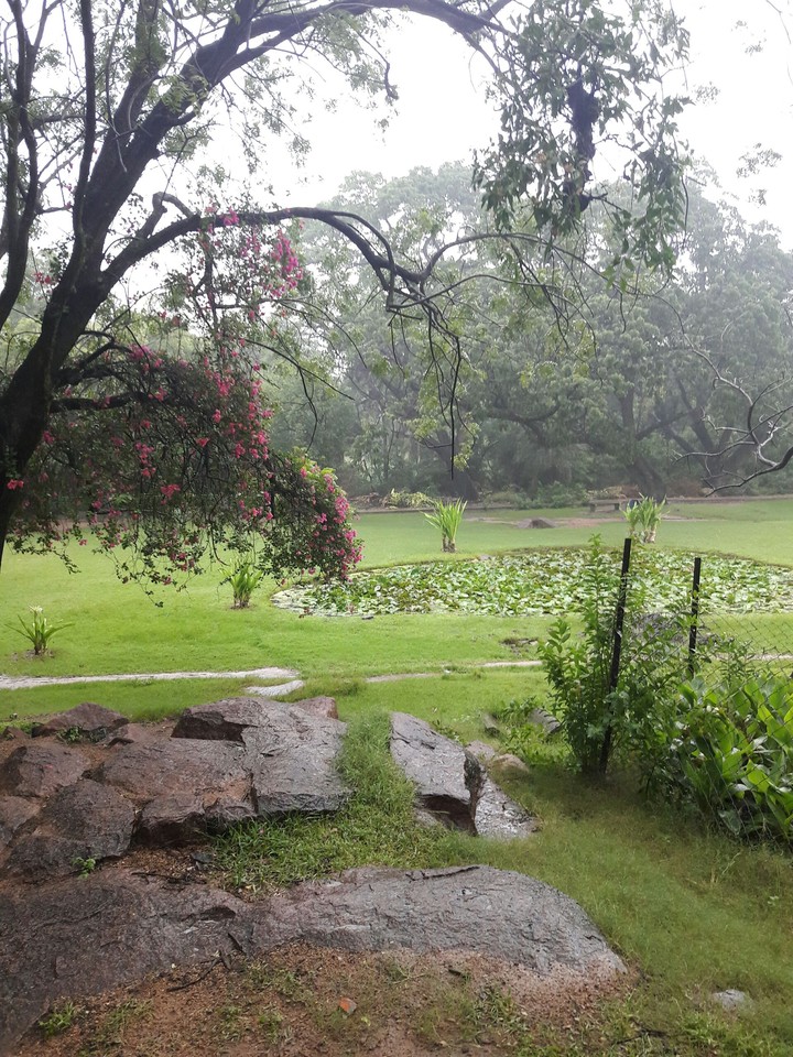 Nature
