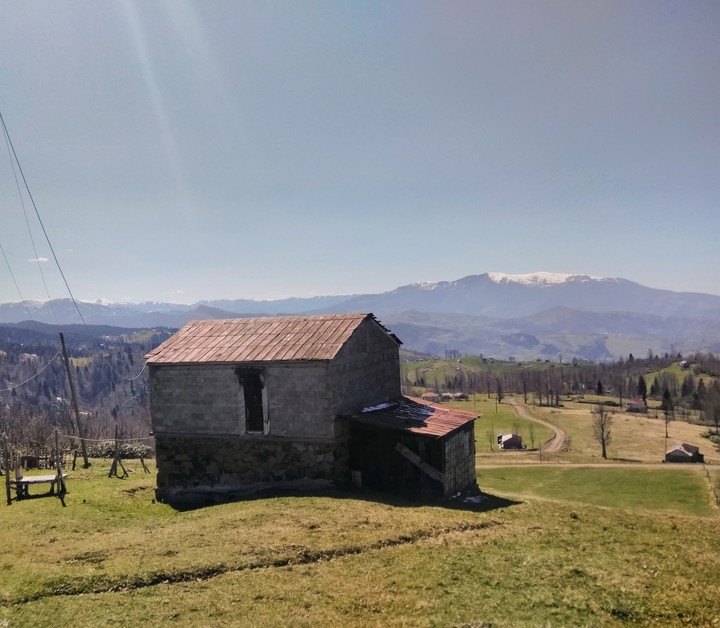 view