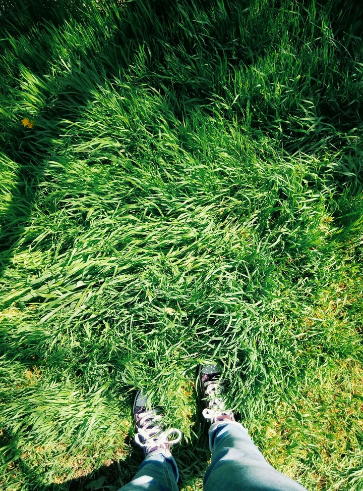 green world