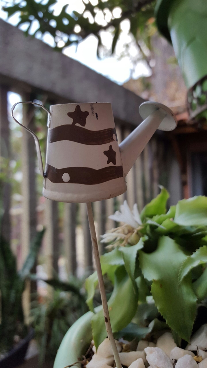 regador para duendes