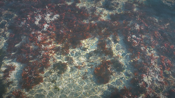 ocean