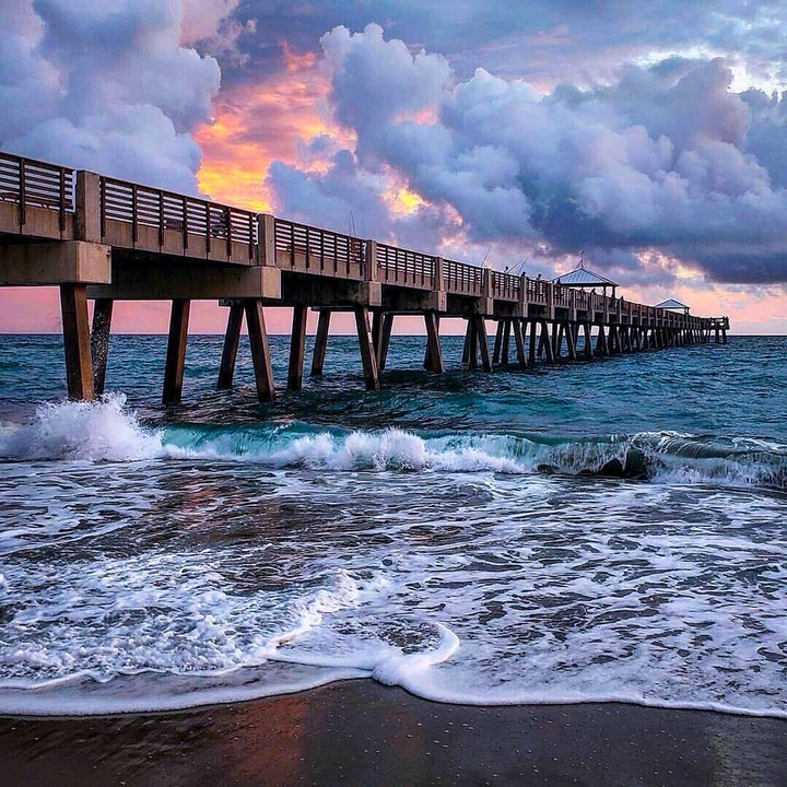 Bridge