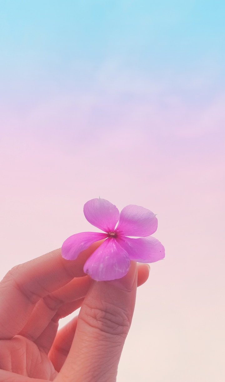 (◕︿◕✿)