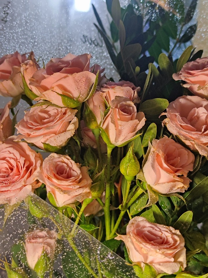 .