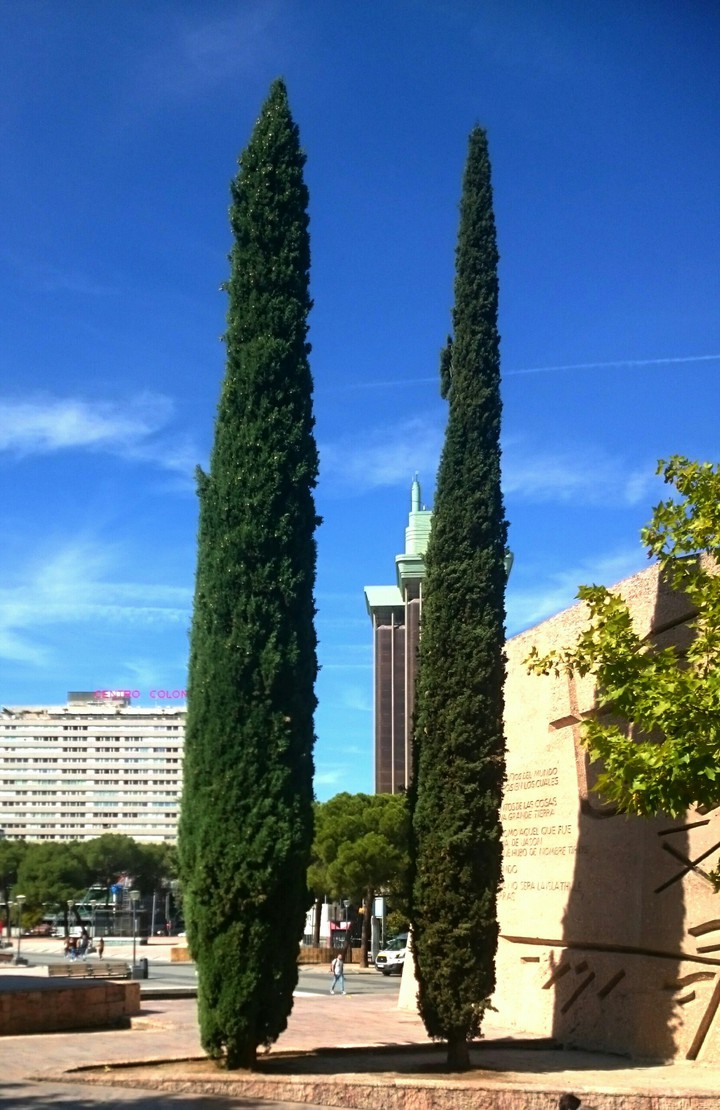 STAMATIOS