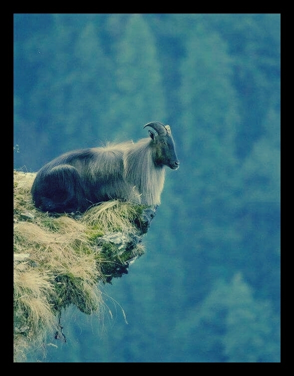 at peace with the world....