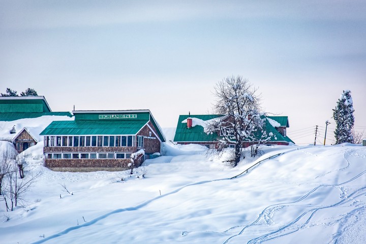 snowy