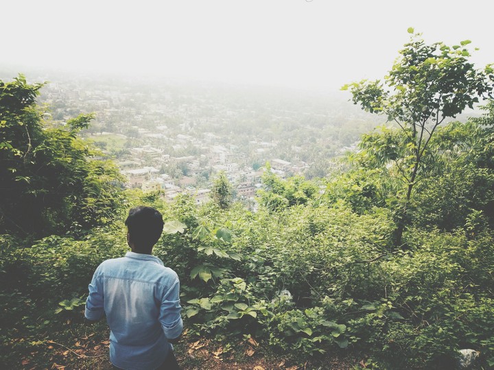 Greenery beauty