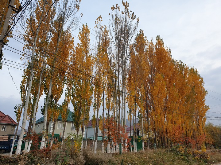 Autumn...