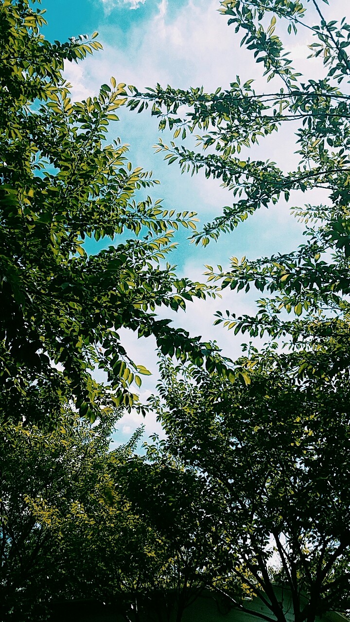 파릇파릇한 여름