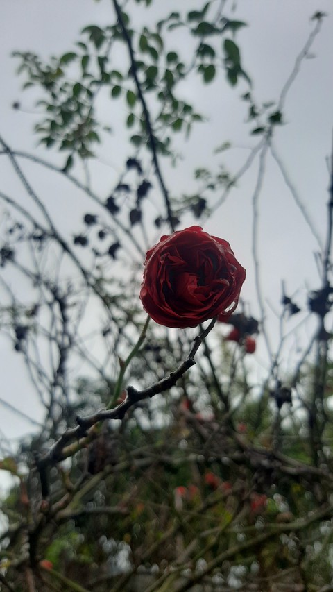 my photography