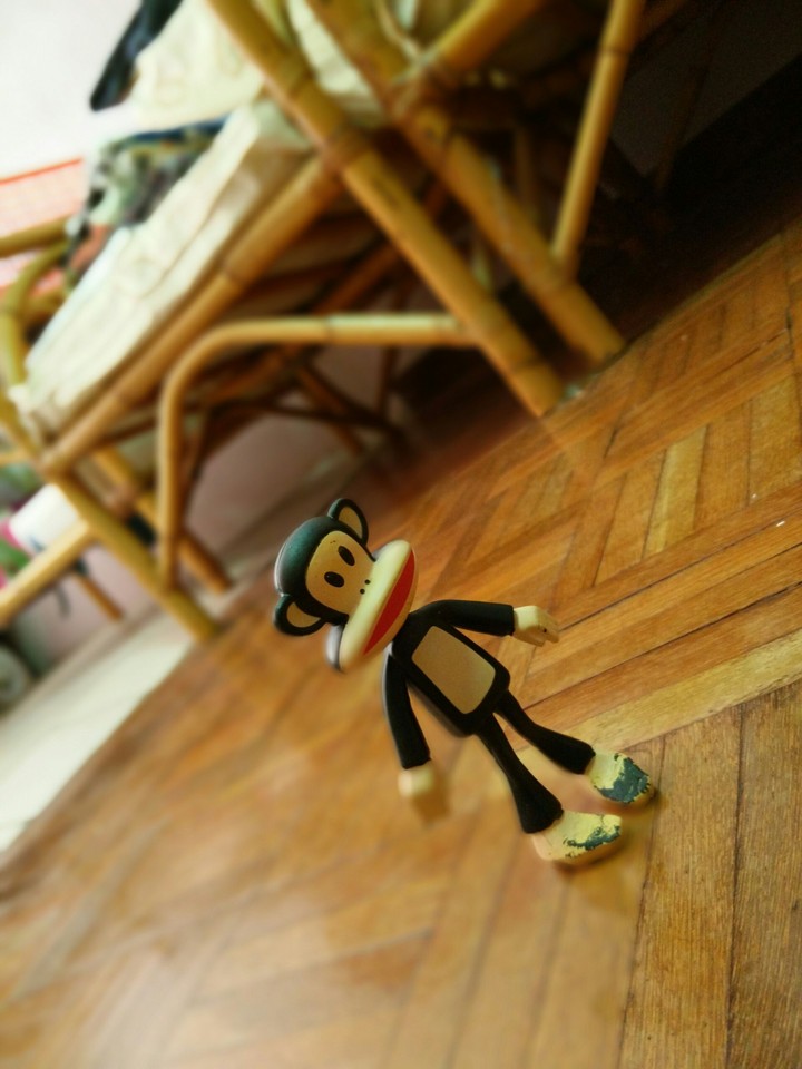 Mini Paul Frank
