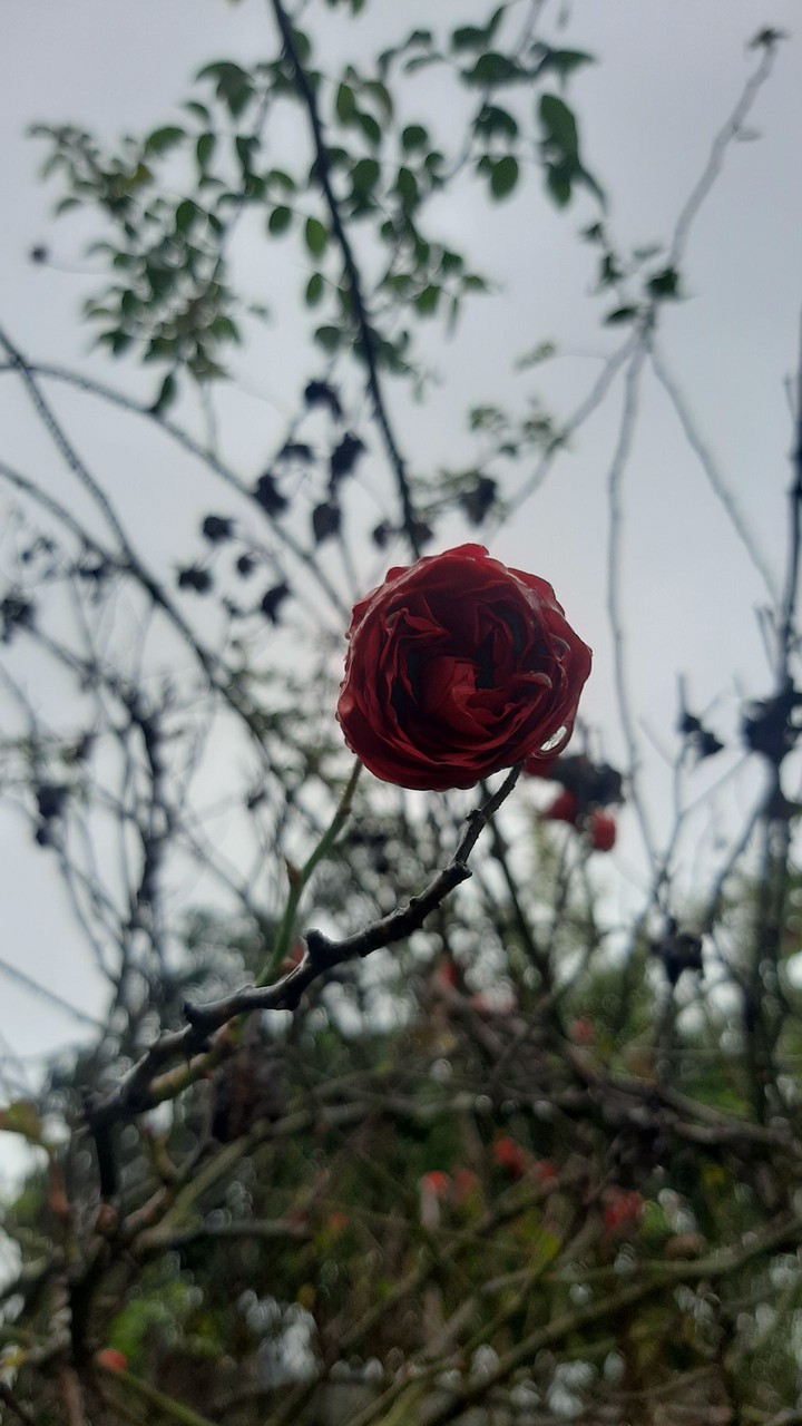my photography