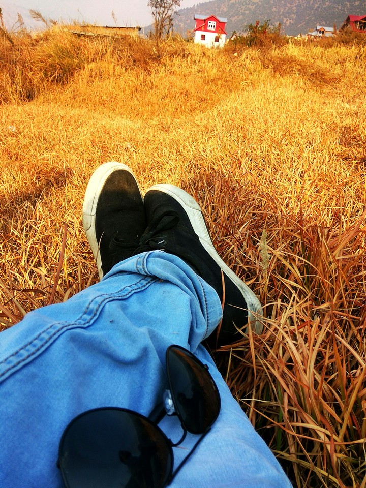 Golden autum