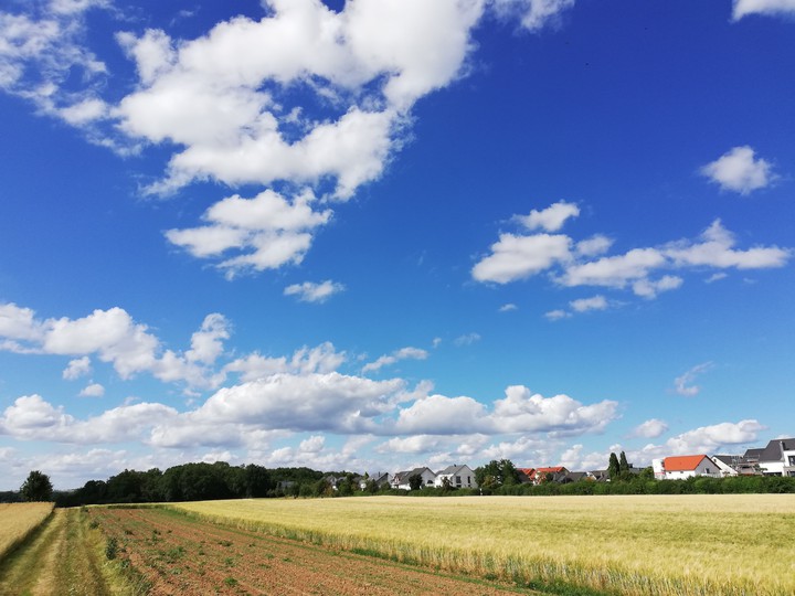 Benningen am Neckar