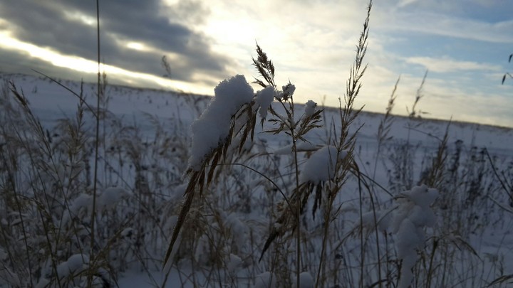Winter 2017