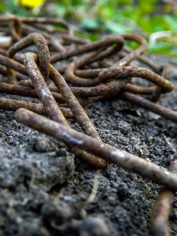 Chain