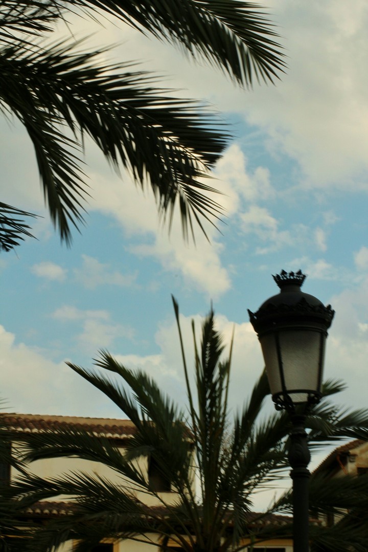 Sky