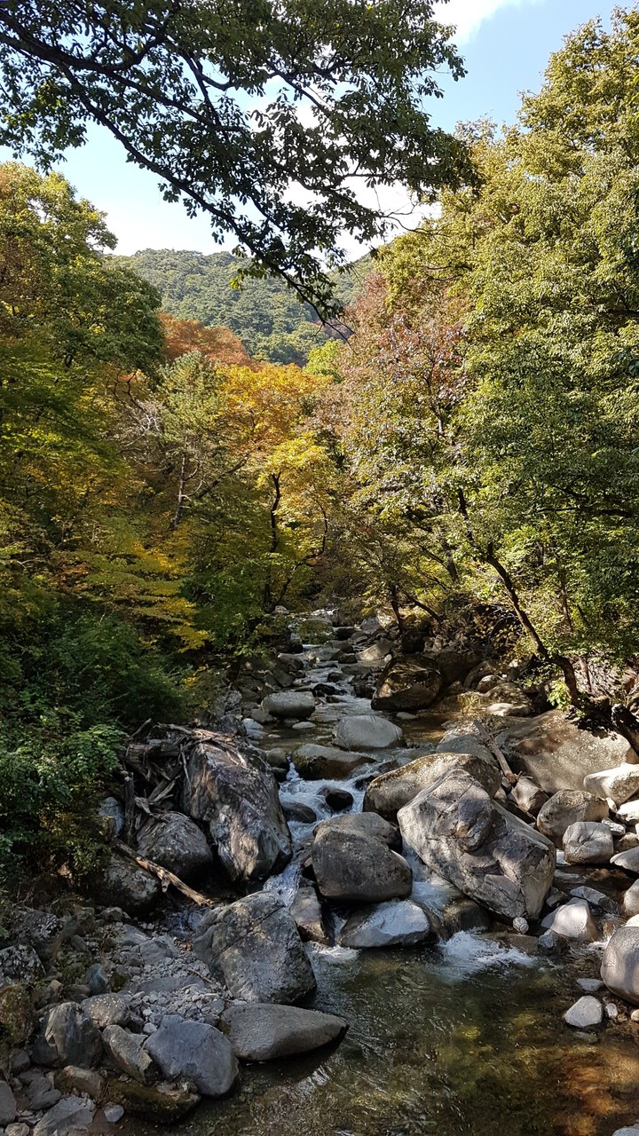 Mt.Gaya