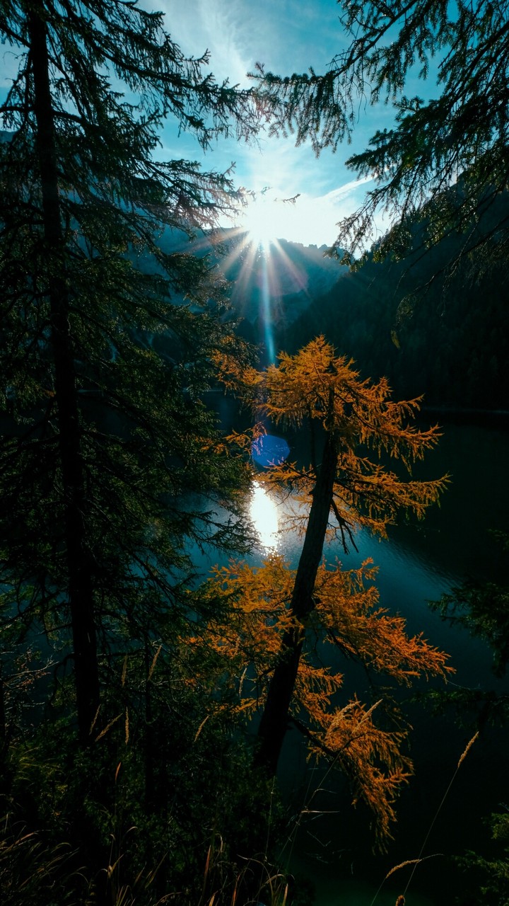 Sunshine..