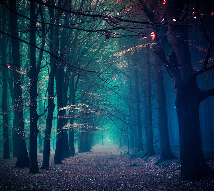 Nature lover