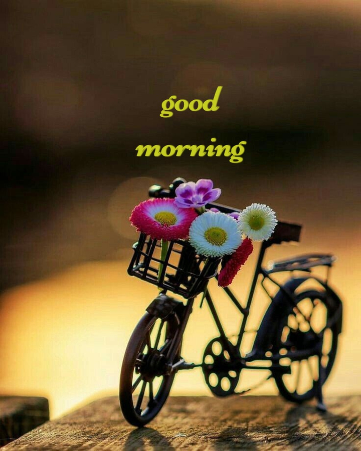 Good Morning