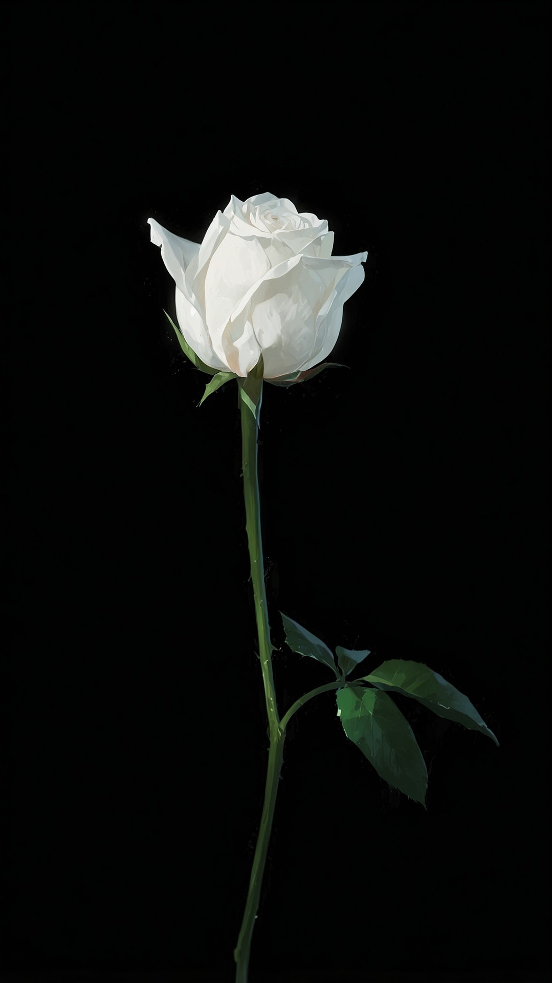 Flower, Petal, Lotus