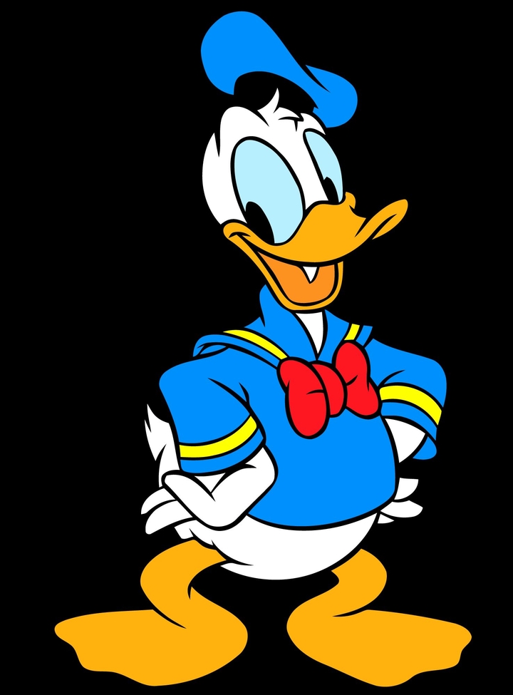 donald duck!!