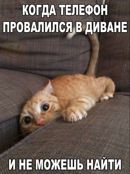 минута смеха