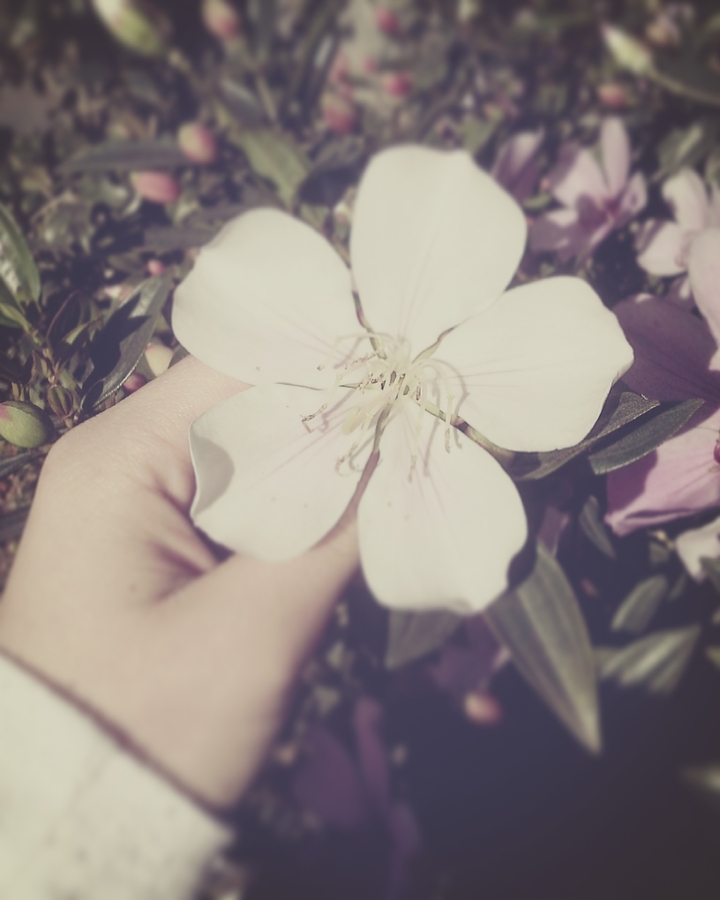 Flores is life