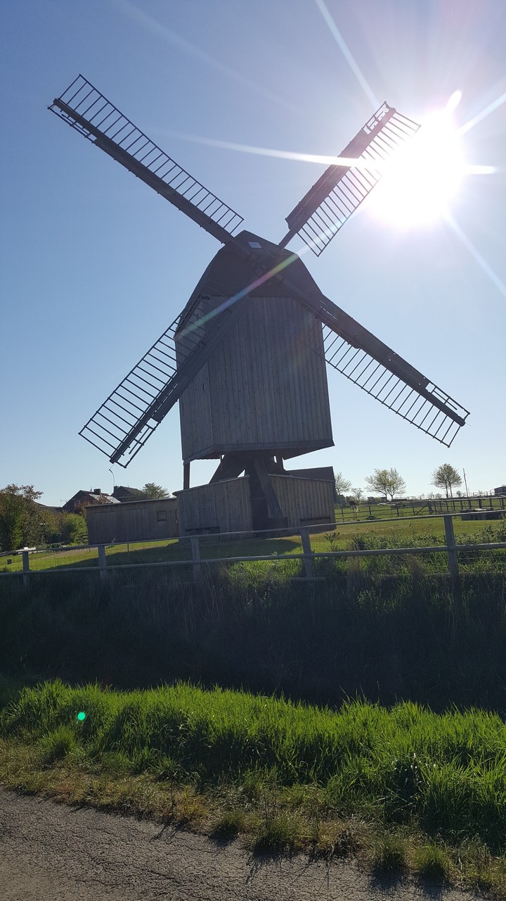 Windmill Dettum/Windmühle Dettum