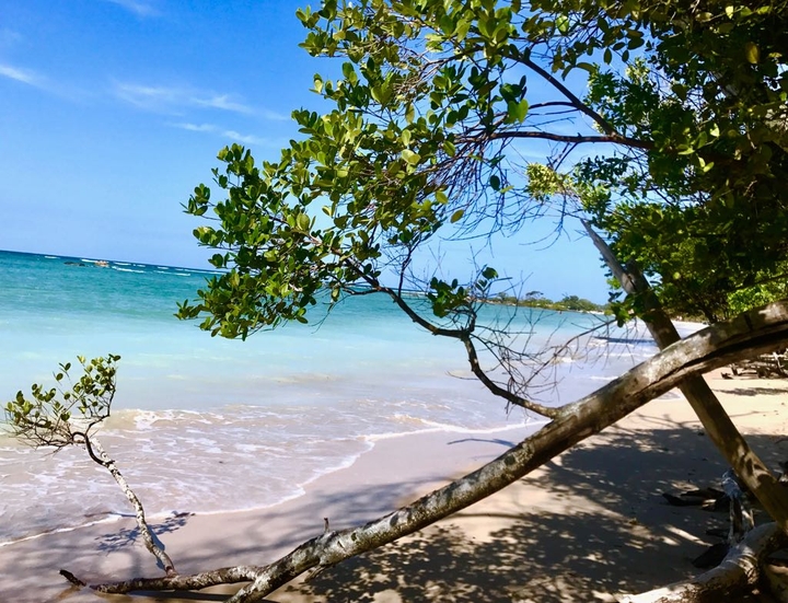tropical beach