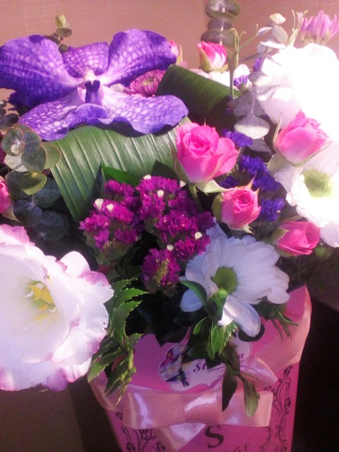 fonds d'écran floristry, violet
