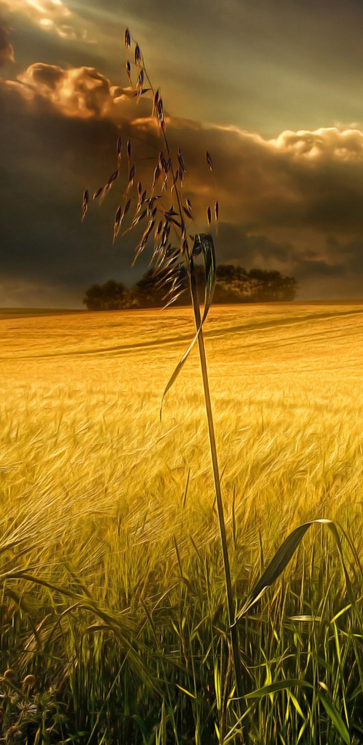 Before storm