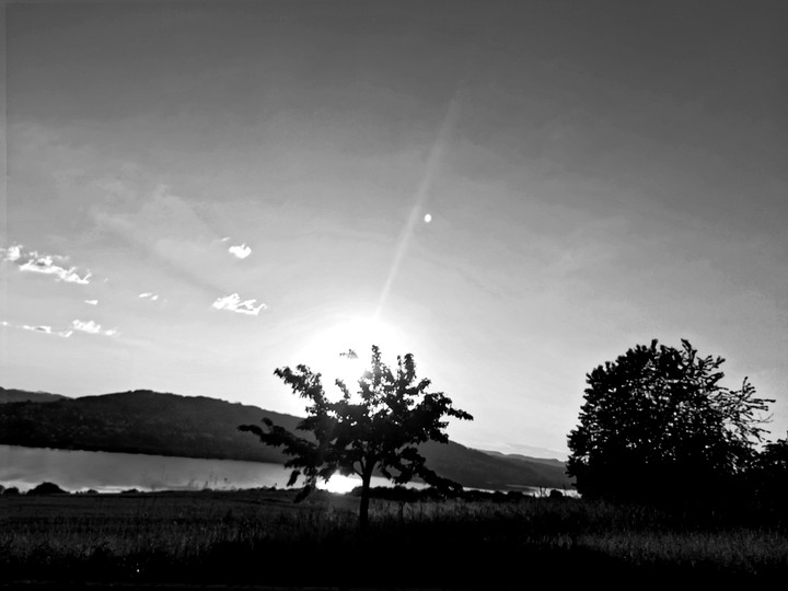 blackandwithe