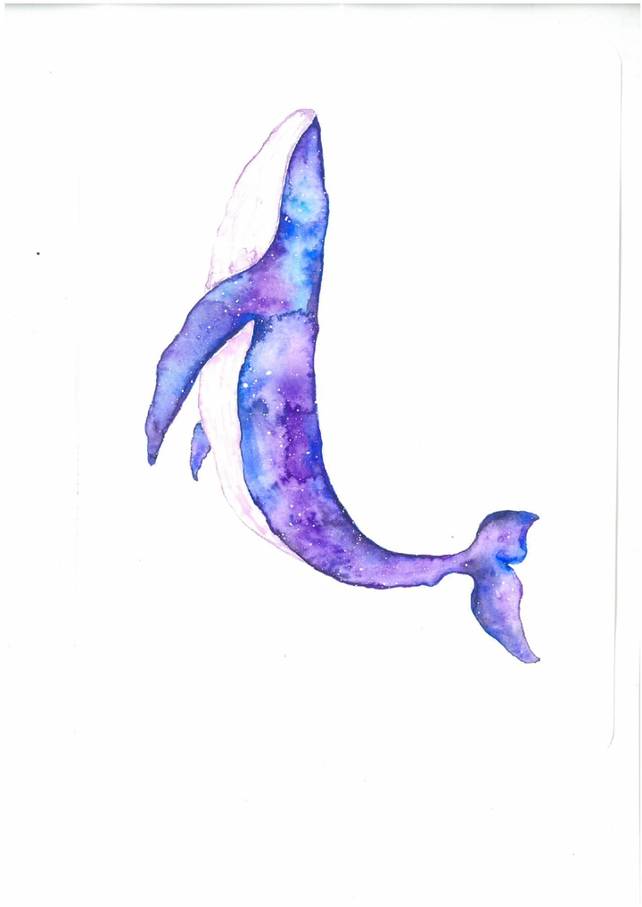 whale