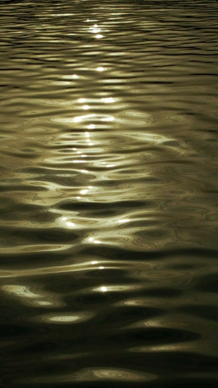 Waves