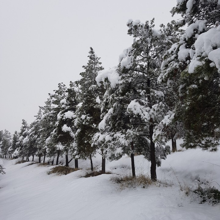 winter