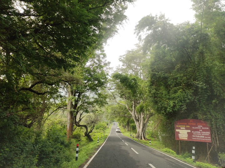 masanagudi ooty road india
