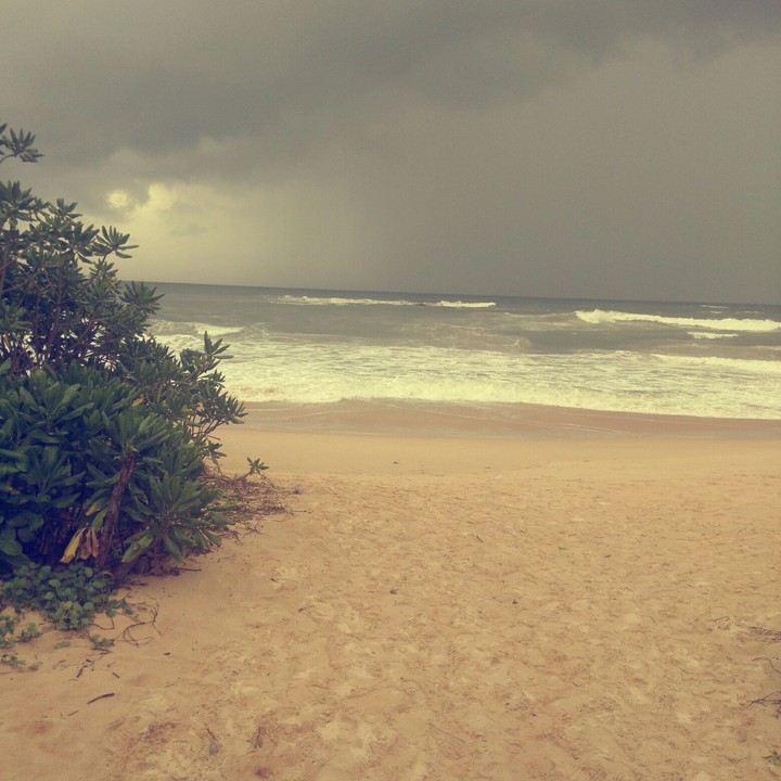 #beach#sea#coast#habitat