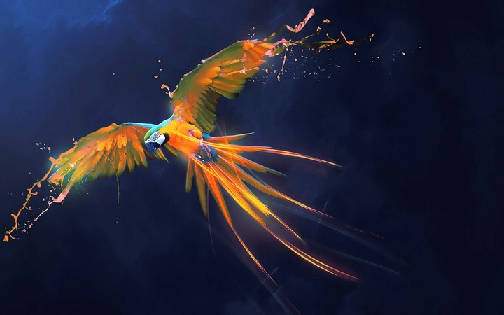 Parrot Splash Art